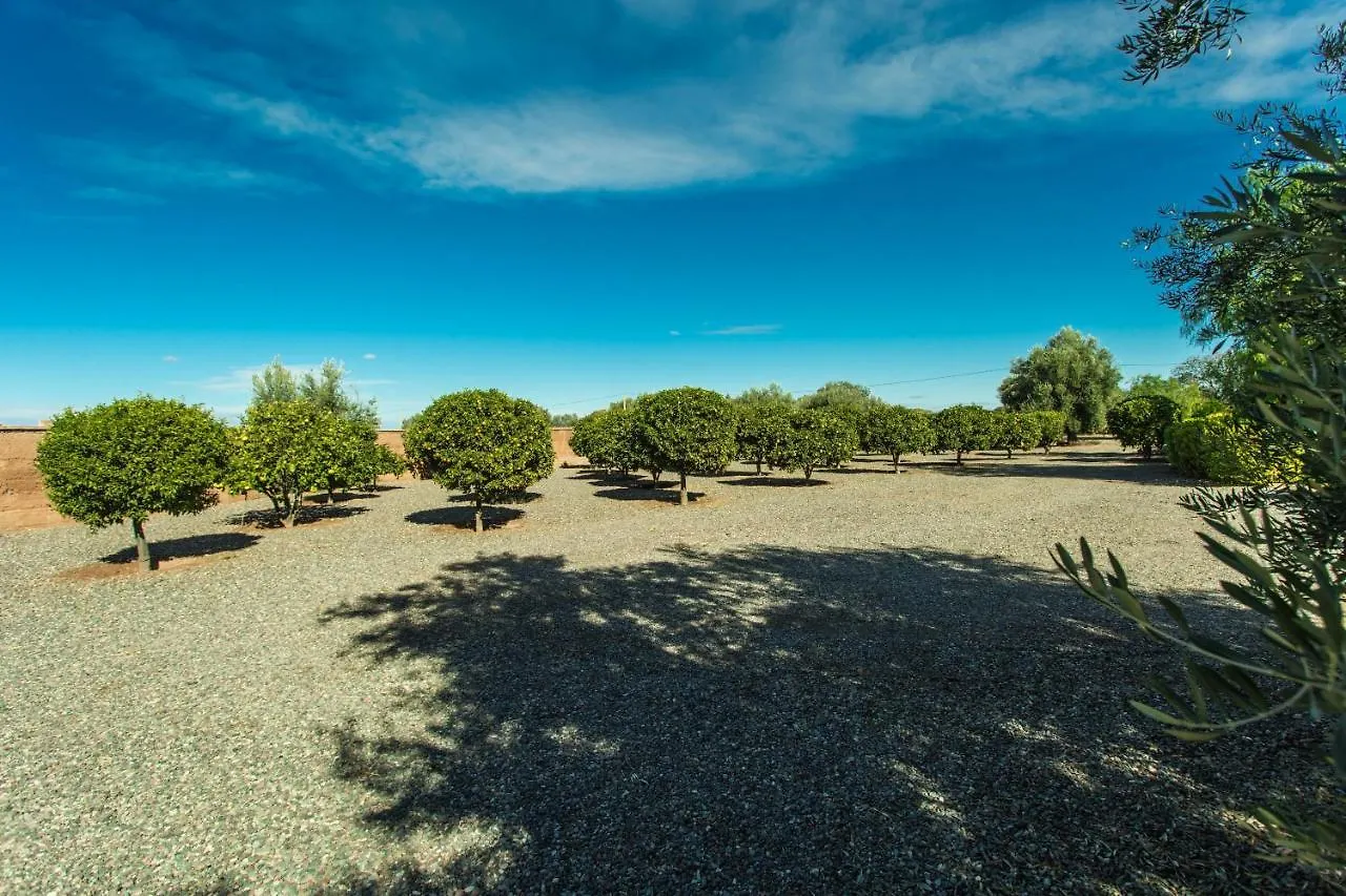 מרקש Villa Les Oliviers - A Setting Of Tranquility