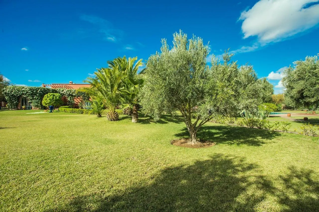 מרקש Villa Les Oliviers - A Setting Of Tranquility 0*,